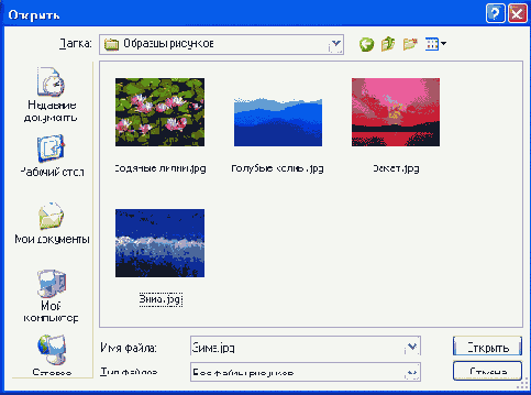 Стандартное окно TopenPictureDialog